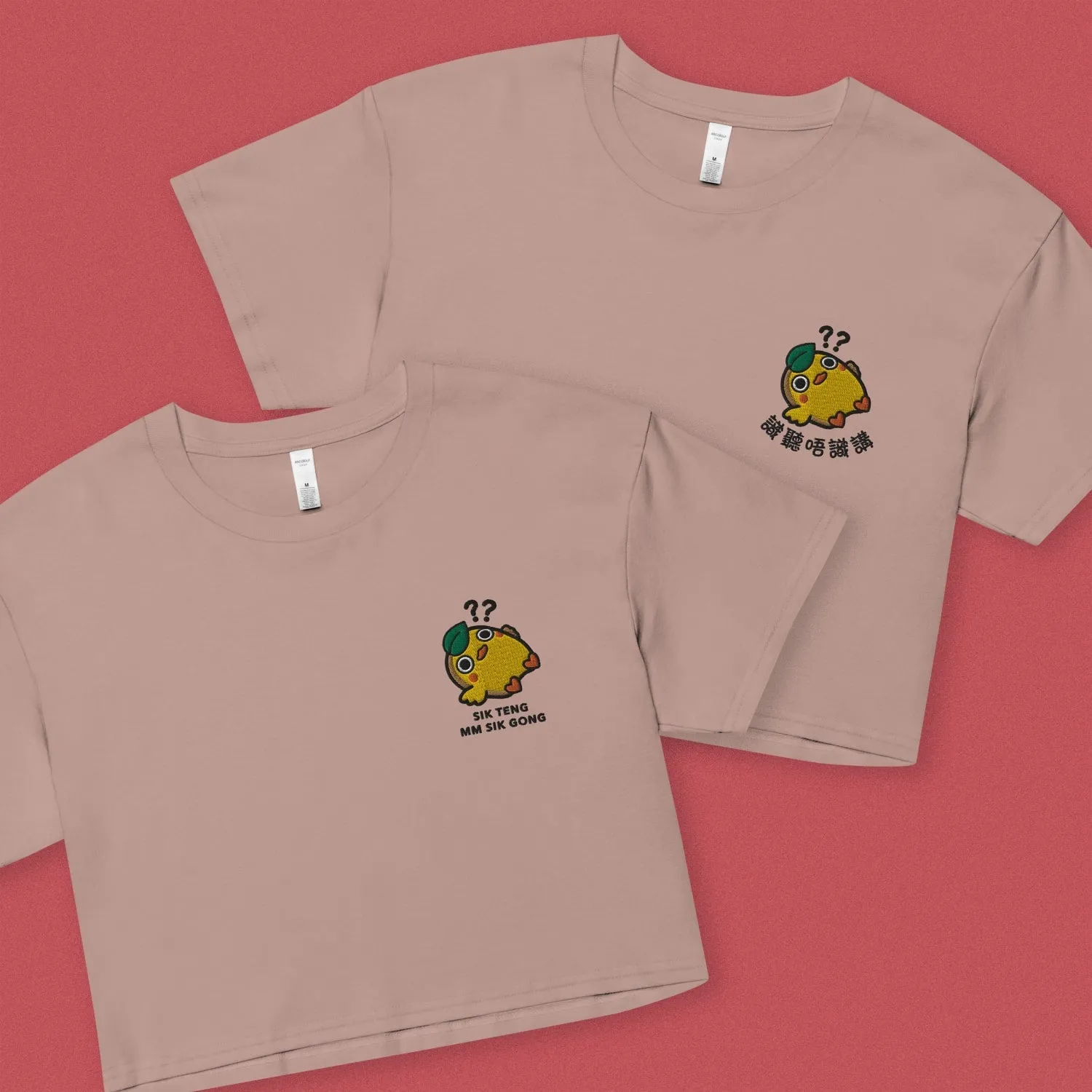 Sik Teng Mm Sik Gong Embroidered Crop T-Shirt